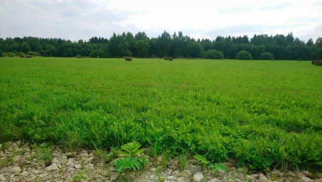 Греблово дер.