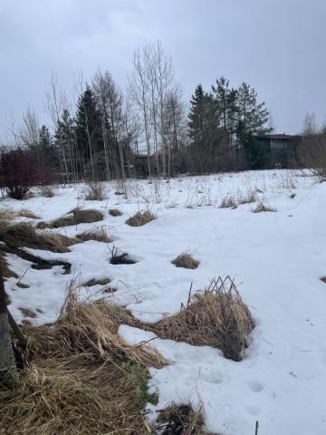 Пушкин г., Благодатная (Волхонское) ул.