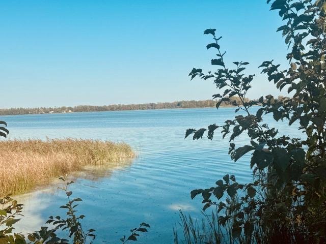 Домкино дер.