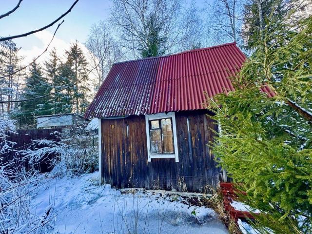 Мшинская массив, Буревестник снт, д 16