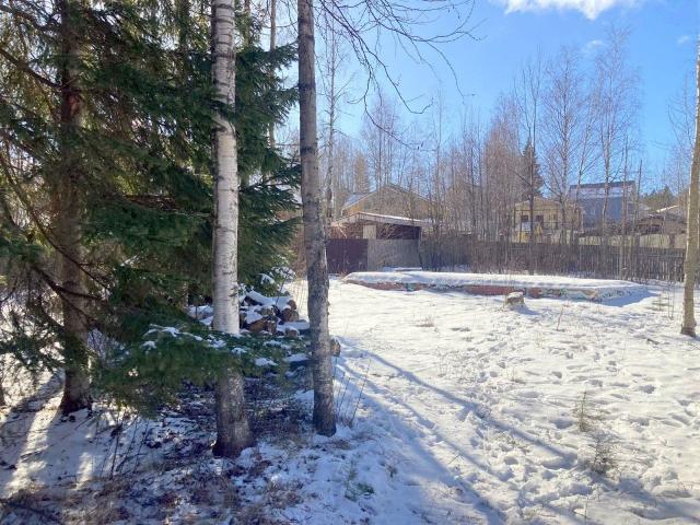 Зазеркальное днп