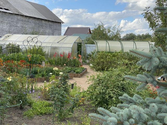 Кондакопшино пос., Восточная ул., д 43