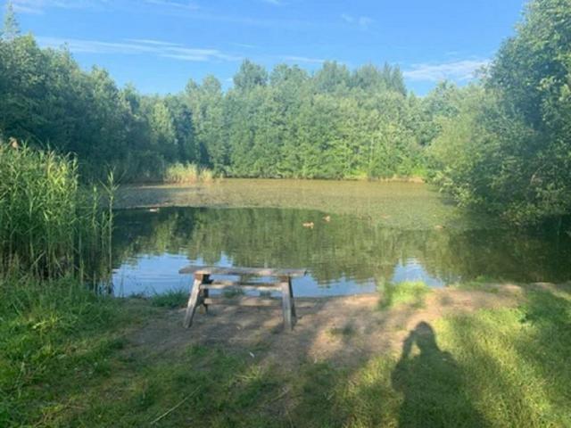 Пупышево массив