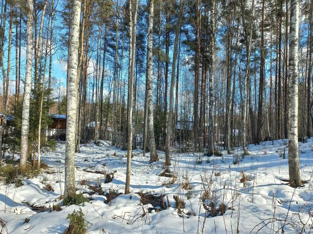 Речное пос.