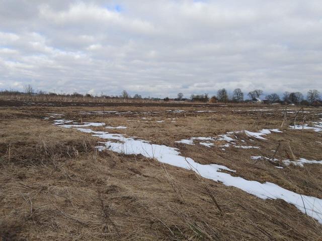 Рабитицы дер.