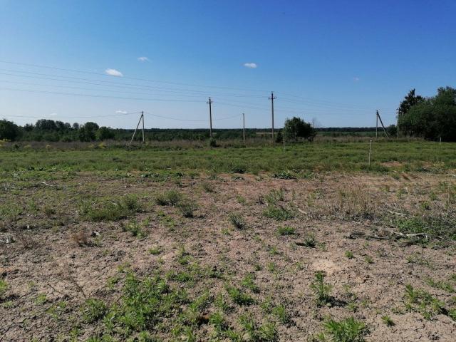 Подгородье дер.