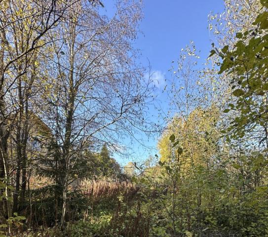 Грузино массив, Дружба снт