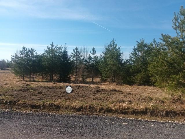 Кузнечики Клуб КП