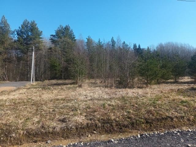 Кузнечики Клуб КП, Центральная ул