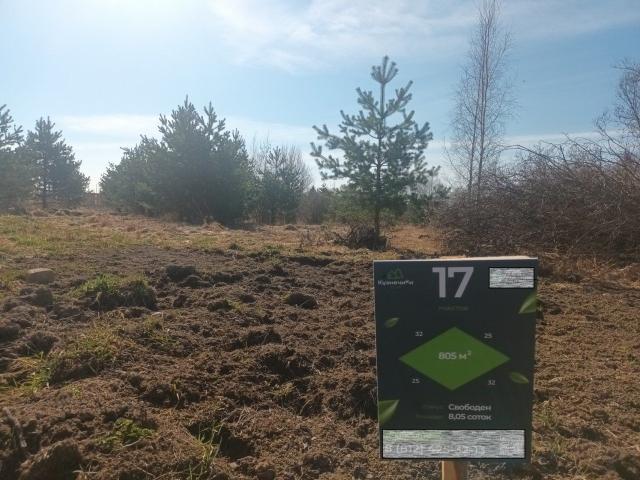 Кузнечики Клуб КП