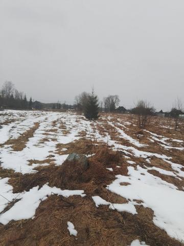 Ястребино дер.