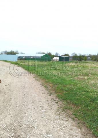 д. Большие Поля