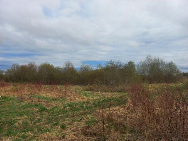 Санино дер.