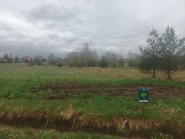 Кузнечики Клуб КП