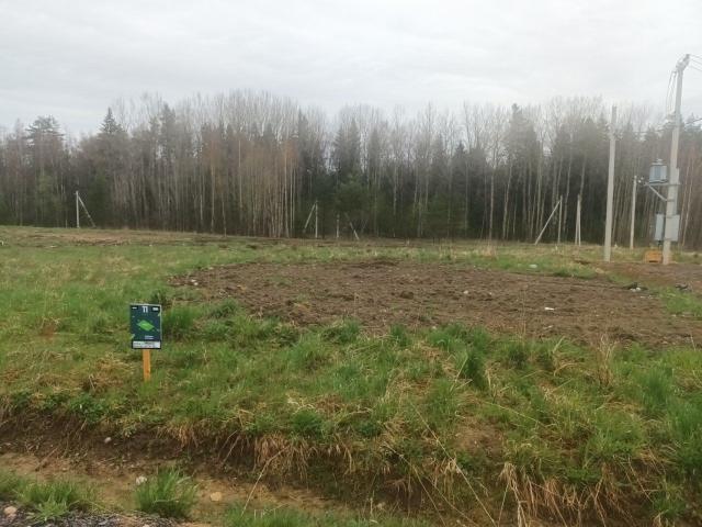 Кузнечики Клуб КП