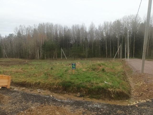 Кузнечики Клуб КП