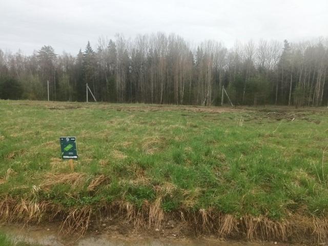 Кузнечики Клуб КП