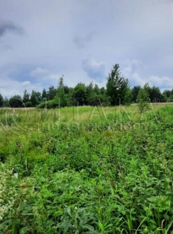 п. Пальцево