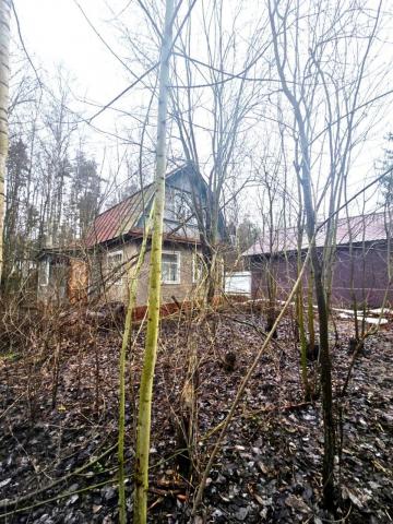 Большие Пороги пос., д 22