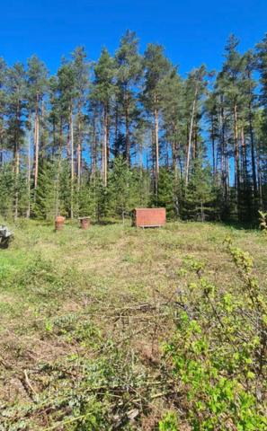 Ленинградская область, Азимут-Электроприбор СНТ, Малая Заречная улица