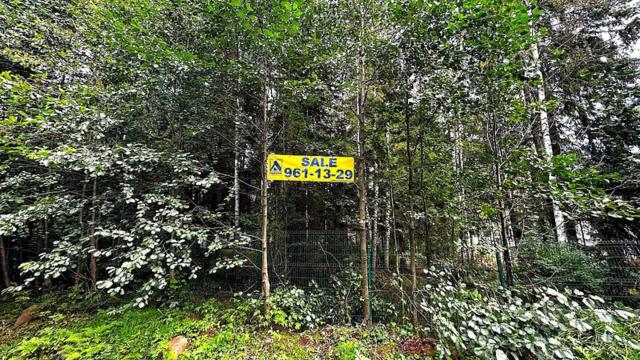 Ленинградская область, Западная Лица пос., Рассветная ул.