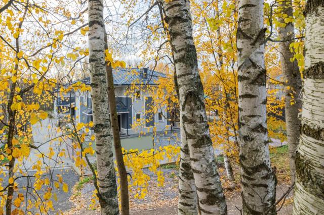 Ленинградская область, Юкки дер., Юкковский пр., 20