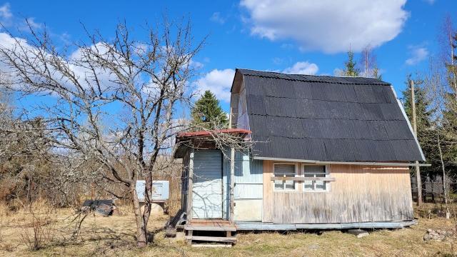 Ленинградская область, Мшинская массив, Березка СНТ, 127