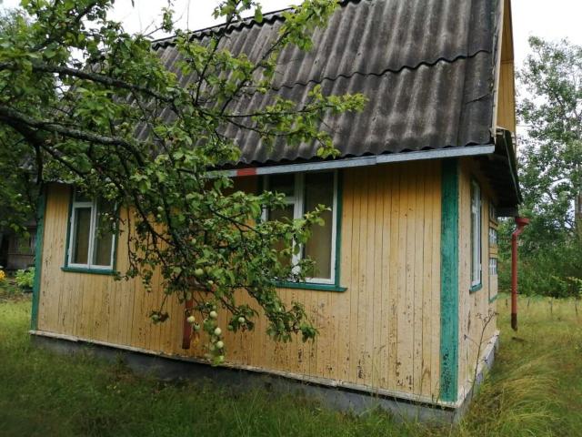 Ленинградская область, Дунай массив, Росполиграфтехника СНТ