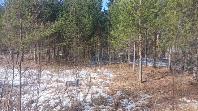 Ленинградская область, Авлога-1 СНТ, 18