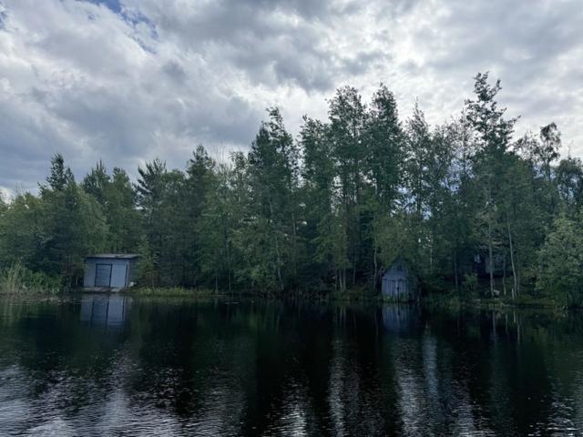 Ленинградская область, Леднево дер.
