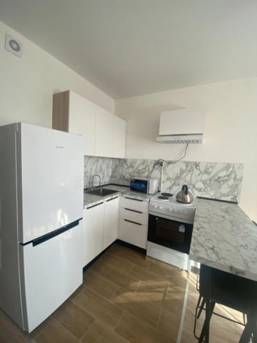 Ленинградская область, Новое Девяткино дер., Главная ул., 2