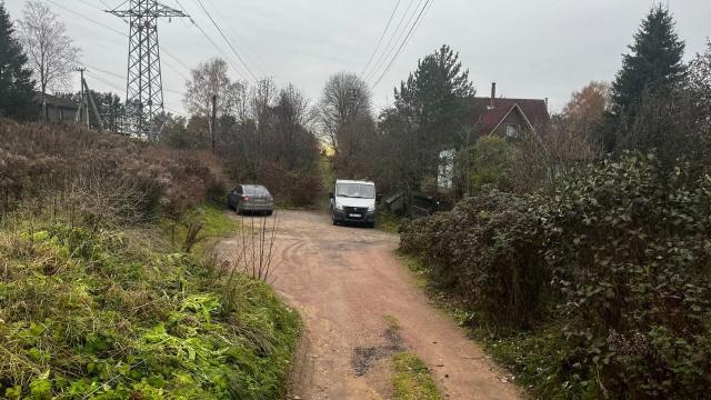 Токсово пос., Гоголя ул.