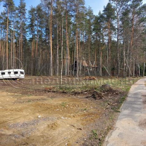 п. Мичуринское