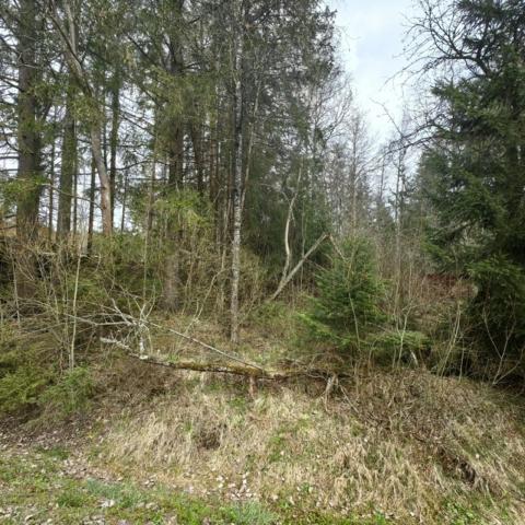 Первомайское пос.