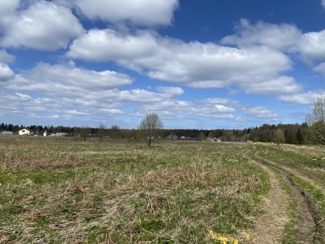 Заостровье дер., Труда ул.