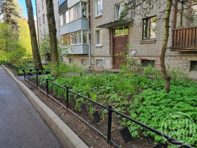 Пушкин г., Оранжерейная ул., д 62