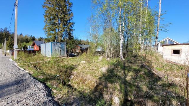 Ленинградская область, Агалатово ДНП, 33