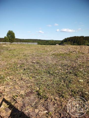 Заполье пос., Полевая ул., д 1