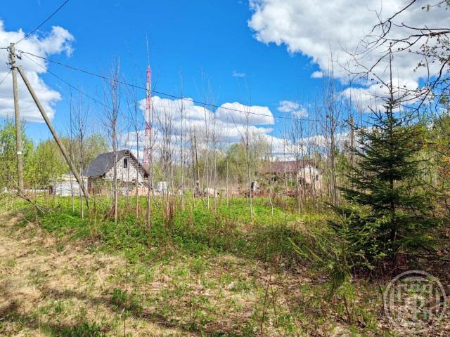 Горьковское пос., Ольховая ул.