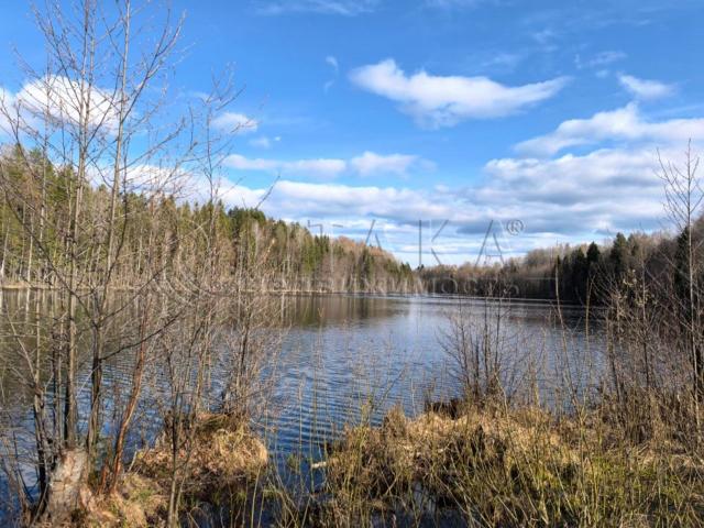 д. Тененичи