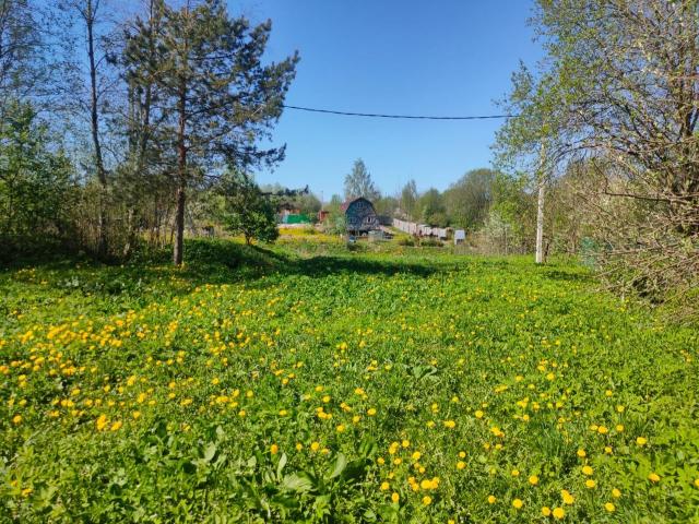 Красноармейское сад., 68