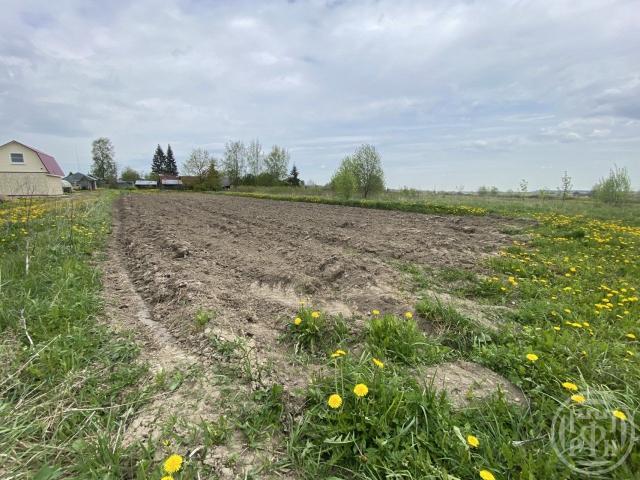 Дятлицы дер.