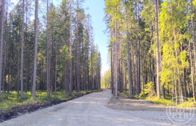 Рощино пос.