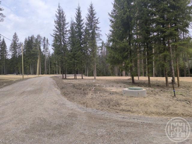 Рощино пос.