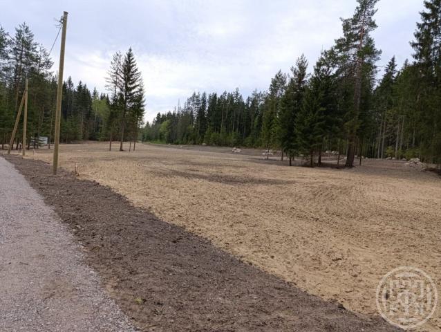 Рощино пос.