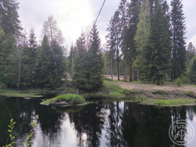 Рощино пос.