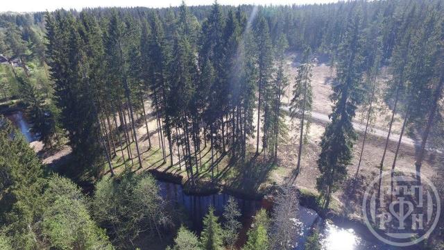 Рощино пос.