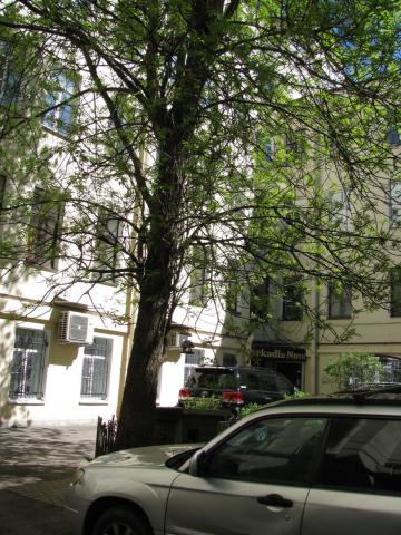 Малая Морская ул., 16А