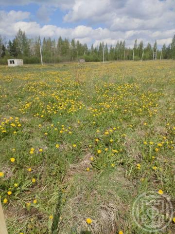 Рахья массив, Счастливая ул.