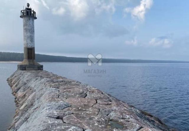 Моторное пос